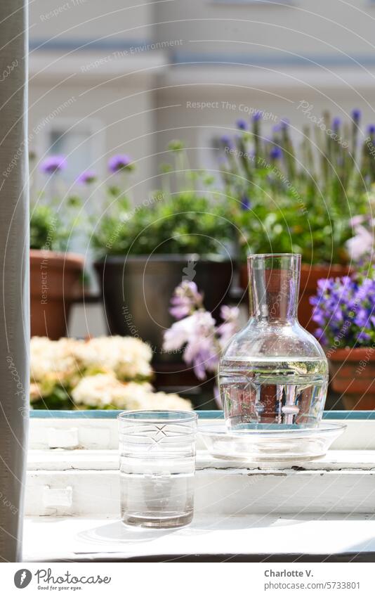 Kaltes, klares Wasser | Mit Wasser gefülltes Glas und mit Wasser gefüllte Karaffe auf dem Fensterbrett. Dahinter blühende Balkonpflanzen. Wasserglas