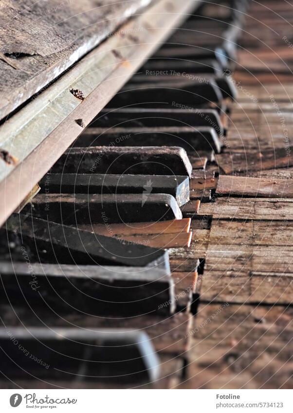 Ein altes vergammeltes Klavier in einem Lost Place stimmt mich traurig. Schade, wenn so tolle Instrumente dem Verfall überlassen werden. Musik Musikinstrument