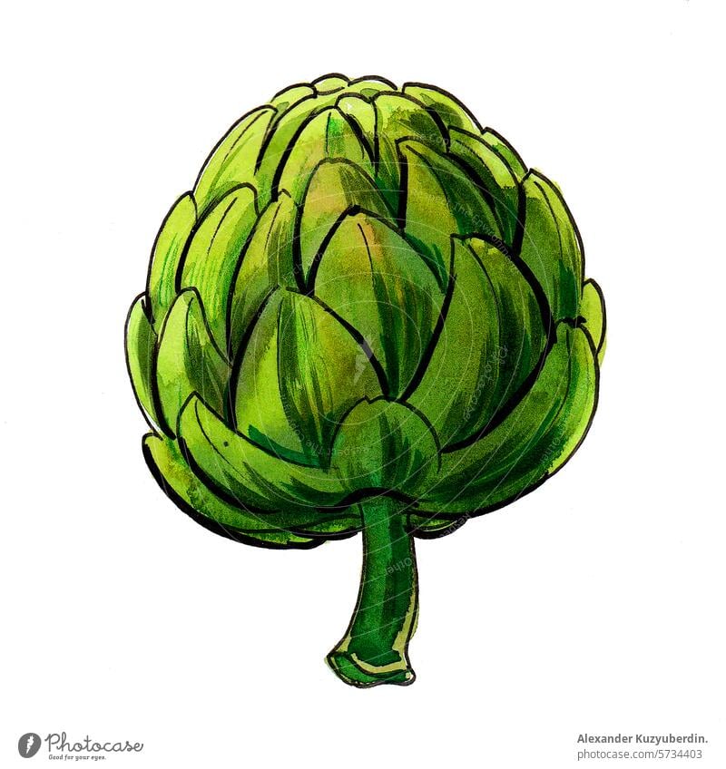 Aquarell-Artischocke. Handgezeichnete Illustration im Retro-Stil Gemüse Lebensmittel Pflanze Essen zubereiten Kunst Kunstwerk Zeichnung Skizze Tusche