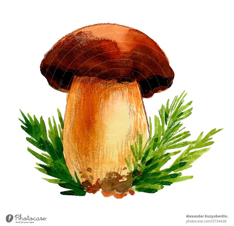 Aquarell-Pilz. Handgezeichnete Illustration im Retro-Stil Wasserfarbe Skizze Malerei Zeichnung Pflanze Natur Kunst Kunstwerk Lebensmittel