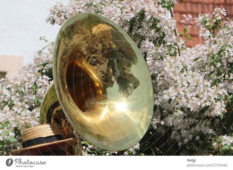 Instrument des Jahres 2024 - die Tuba Blechblasinstrument Blasinstrument Schallstück Schalltrichter Bassposaune groß glänzend Musik Musikinstrument Frühling