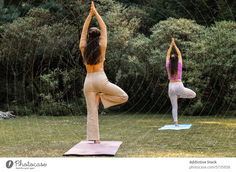 Zwei anonyme Frauen üben gemeinsam die Baumpose, umgeben vom dichten Blattwerk einer ruhigen natürlichen Umgebung Yoga Baumhaltung Tandem Einzelpersonen Grün