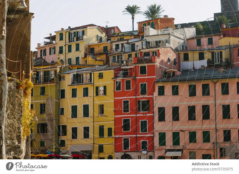 Bunte italienische Gebäude in einer malerischen Stadt Farbe Italien Architektur wohnbedingt historisch pulsierend mehrfarbig Stapel Palme Europäer reisen