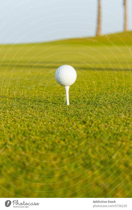 Einzigartiges Golferlebnis mit einem unverwechselbaren Stil Ball T-Stück Gras grün Fairway Nahaufnahme Sport Golfplatz Spiel Freizeit im Freien sonnig Hobby