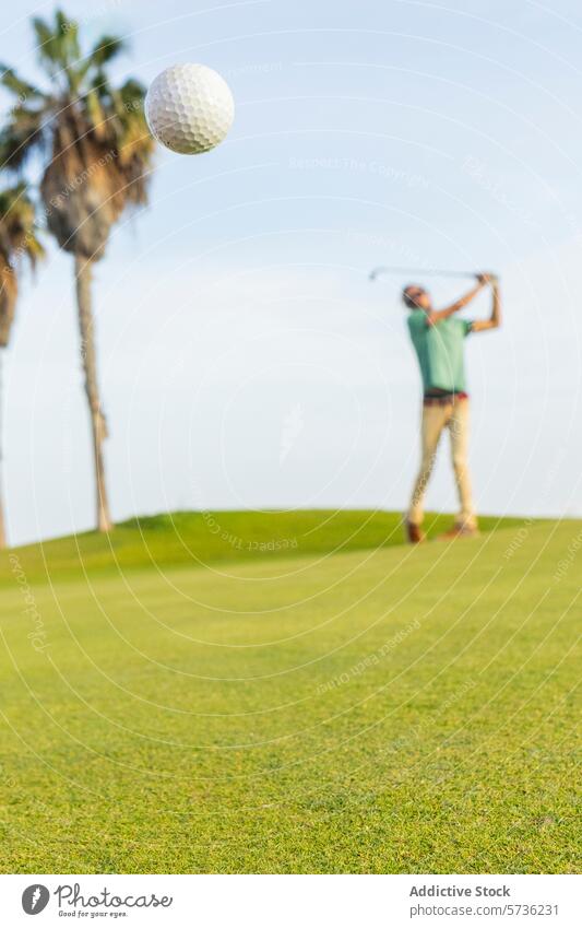Golfer mit Dreadlocks schwingt den Schläger auf dem Platz pendeln Rastalocken Ball Handfläche Baum grün Gras einzigartig Freizeit Sport im Freien sonnig