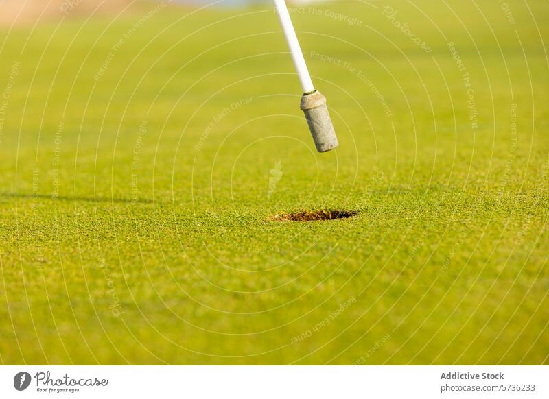 Nahaufnahme eines Golfschlägers, der sich dem Loch auf dem Grün nähert Club grün Sport Golfen Ball Golfloch Kurs Golfer Putten spielen im Freien Gerät Spiel