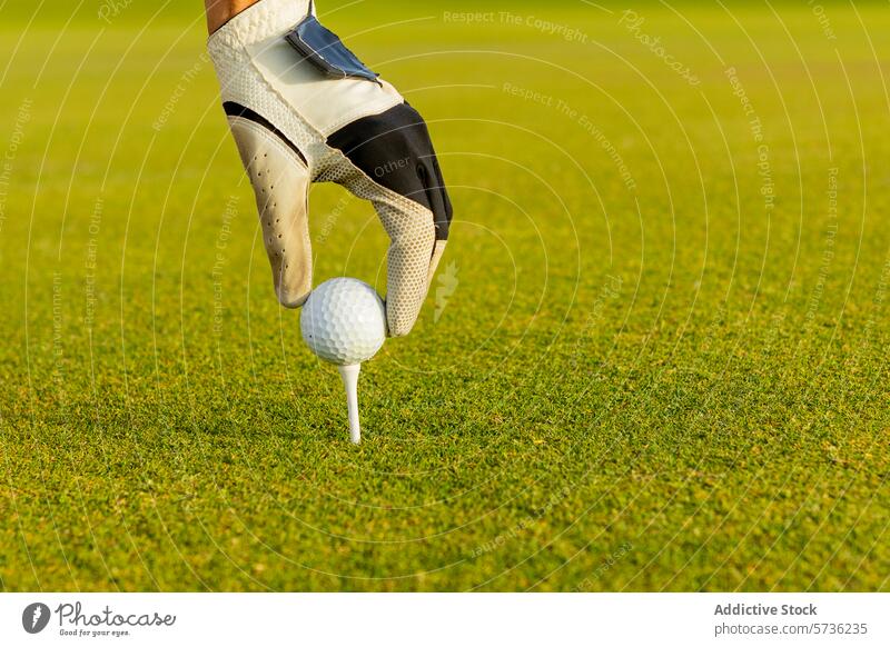 Nahaufnahme einer Hand, die einen Golfball auf einen Abschlag legt Ball T-Stück Handschuh Gras grün Golfplatz Spiel Sport Vorbereitung pendeln im Freien