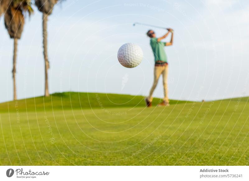 Anonymer Golfer beim Spielen an einem sonnigen Tag pendeln Kurs grün Himmel übersichtlich Bewegung Sport aktiv Freizeit im Freien Palme Hobby spielen Ball