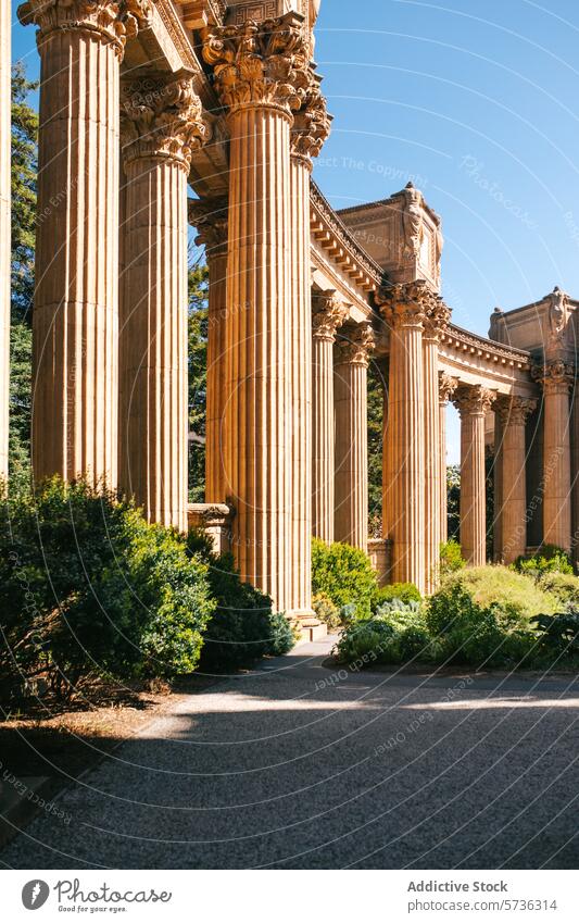 Die sonnenbeschienenen Säulen des Palastes der Schönen Künste enthüllen ihre komplizierten Details inmitten des üppigen Grüns in San Franciscos Frühling