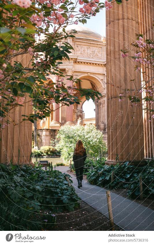 Eine anonyme Frau spaziert einen von Frühlingsblumen gesäumten Weg am Palast der Schönen Künste in San Francisco entlang und fängt einen heiteren Moment ein