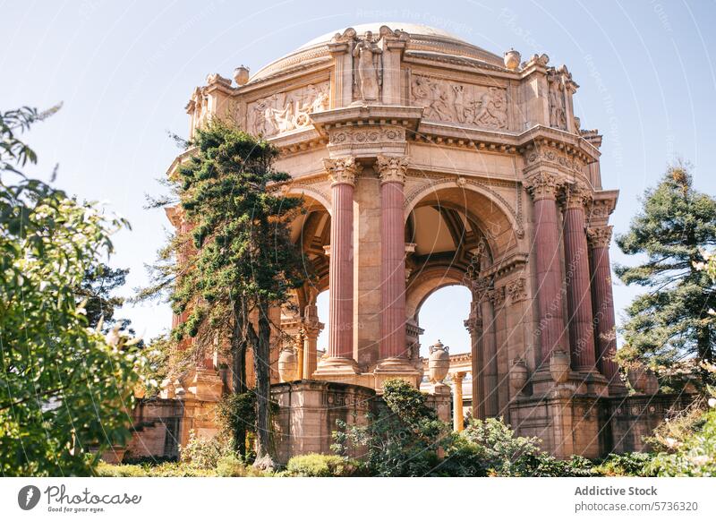 Die Pracht des Palastes der Schönen Künste in San Francisco zeigt sich an einem klaren Frühlingstag, an dem üppiges Grün die klassische Architektur umrahmt