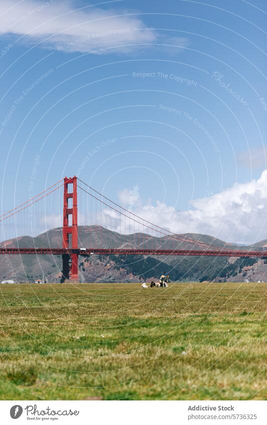 Picknicker entspannen sich auf einer üppigen Wiese mit der ikonischen Golden Gate Bridge, die sich majestätisch in der Ferne unter einem klaren Frühlingshimmel erhebt
