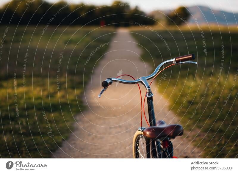 Nahaufnahme eines Fahrradlenkers mit dem gewundenen Pfad eines üppigen Parks, der zu einer gemütlichen Fahrt bei Sonnenuntergang einlädt Lenker Weg