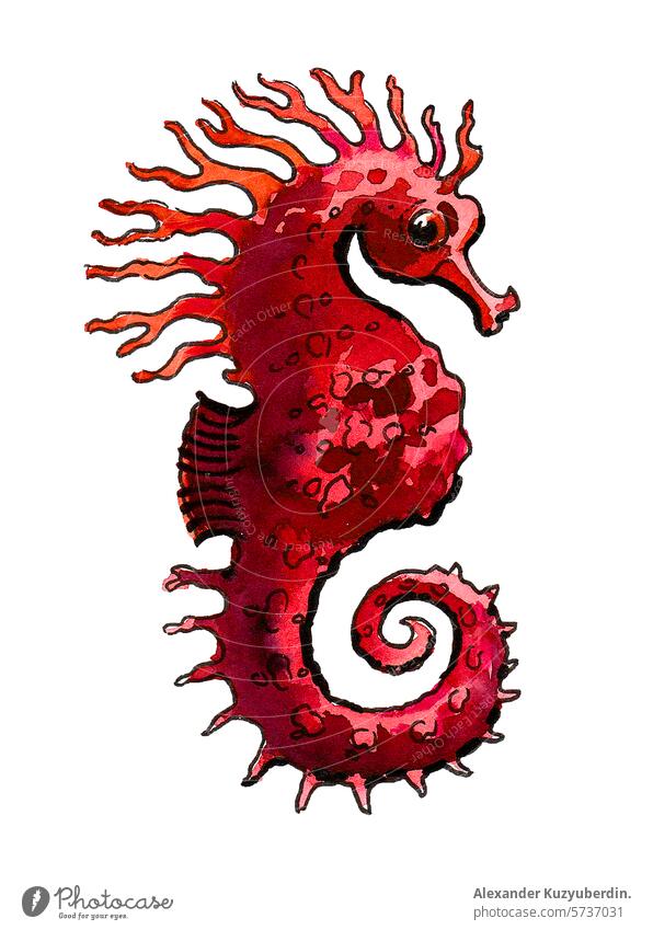 Aquarell rotes Seepferdchen. Handgezeichnete Illustration im Retro-Stil Fisch Tier marin nautisch Kunst Kunstwerk Wasserfarbe Malerei Skizze Zeichnung