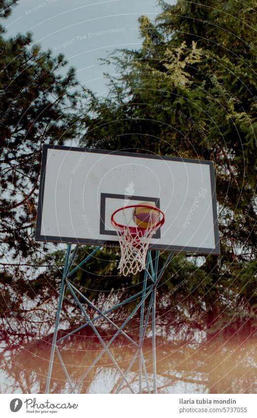 Korb mit Ball auf einem Basketballplatz im Freien mit Bäumen dahinter Gericht Natur Sport sportlich Freizeit Aktivität Lifestyle Kodak altehrwürdig 35 mm analog