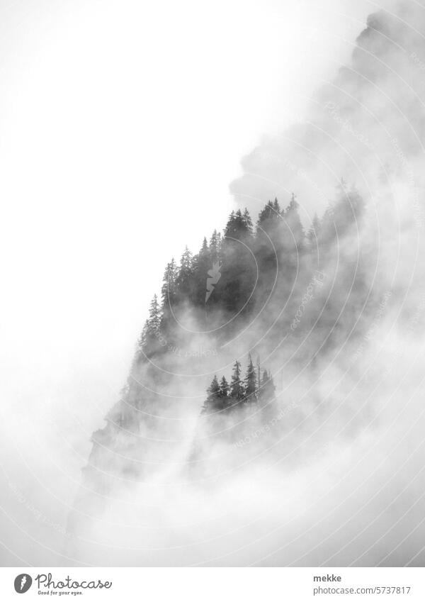 mysteriös 🌫🌫🌫 nebulös (#600) Nebel Wald Nebelschleier Wolken Berge u. Gebirge Herbst Alpen Bäume mystisch Umwelt Sicht eintauchen geheimnisvoll Berghang Wetter