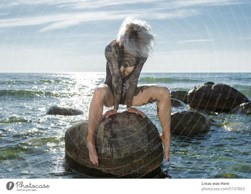 Ein atemberaubendes blondes Mädchen mit komplizierten Tätowierungen übt Yoga auf den Felsen am Ufer. Ihr durchtrainierter und tätowierter Körper sonnt sich im Sonnenlicht, während sie eine kräftige Yoga-Sitzung an der Ostsee absolviert.