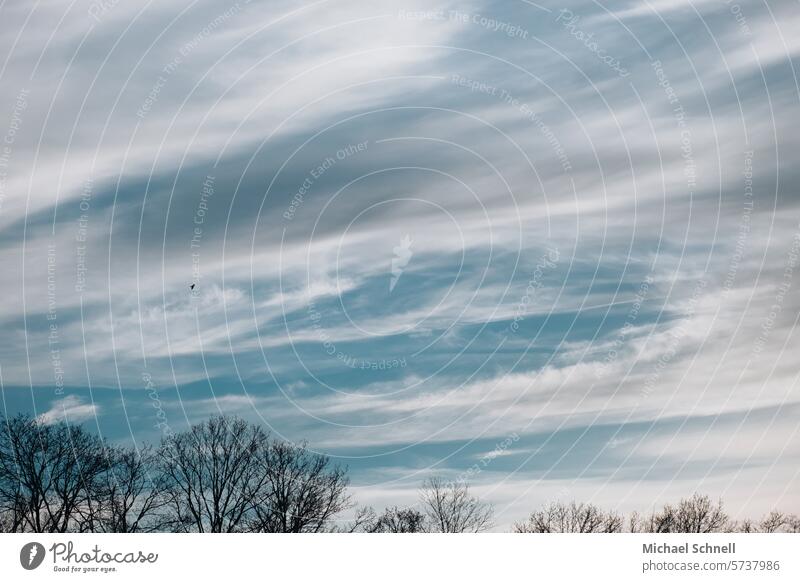 Schöner Himmel Cirrus Cirruswolke Wolken Natur Wetter Eiskristall Meteorologie Klima Umwelt Warmfront Cirrostratus Cirrocumulus blau Atmosphäre