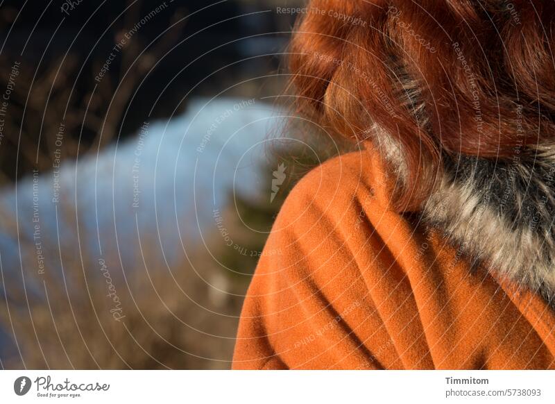 Rückansicht einer Frau, auf einen See schauend Haare Pelzkragen Mantel farbig Farben Wasser blau Gebüsch Ruhe Außenaufnahme Natur friedlich
