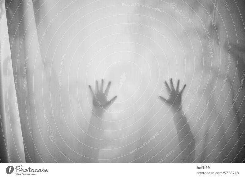 zwei erhobene Hände hinter einem Vorhang Hand ausgestreckter Arm ausgestreckte Hand Finger Arme Mensch Licht Körperteil gestikulieren Handfläche minimalistisch