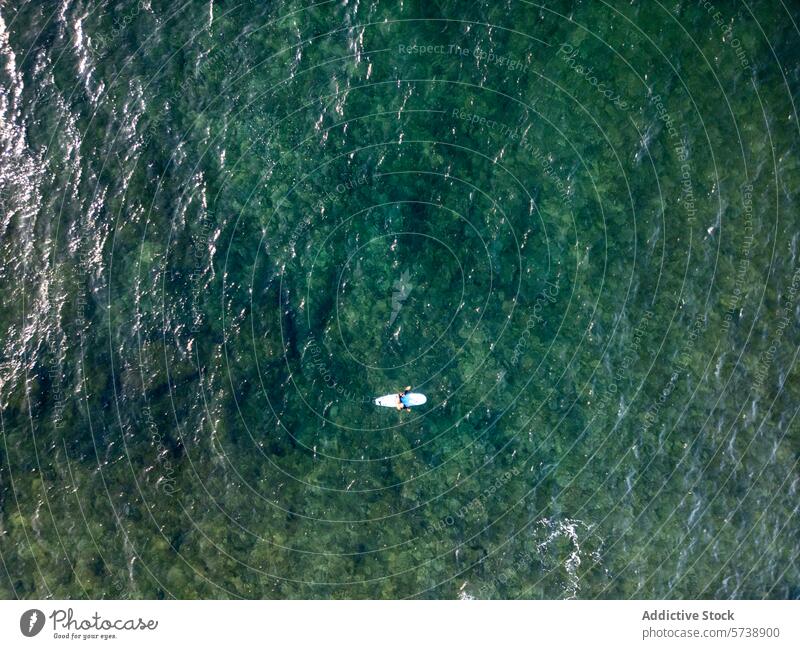 Luftaufnahme eines einzelnen Surfers in einem weiten Meer Antenne MEER Overhead Wasser Einsamkeit Natur riesig im Freien aquatisch Ruhe Single Dröhnen
