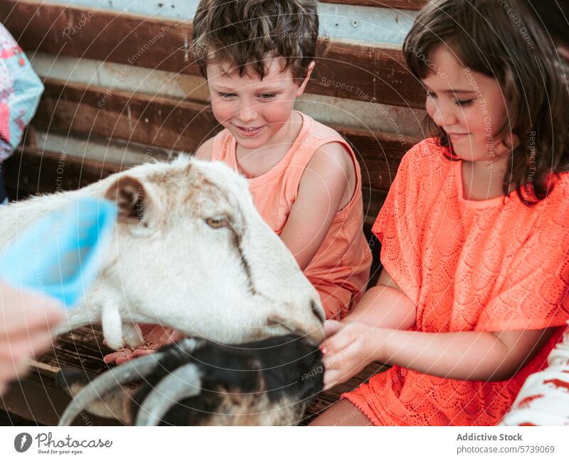 Kinder lächeln vor Freude, wenn sie eine freundliche Ziege füttern und striegeln, die in einer Sommerschule auf dem Bauernhof eine praktische Lernerfahrung macht