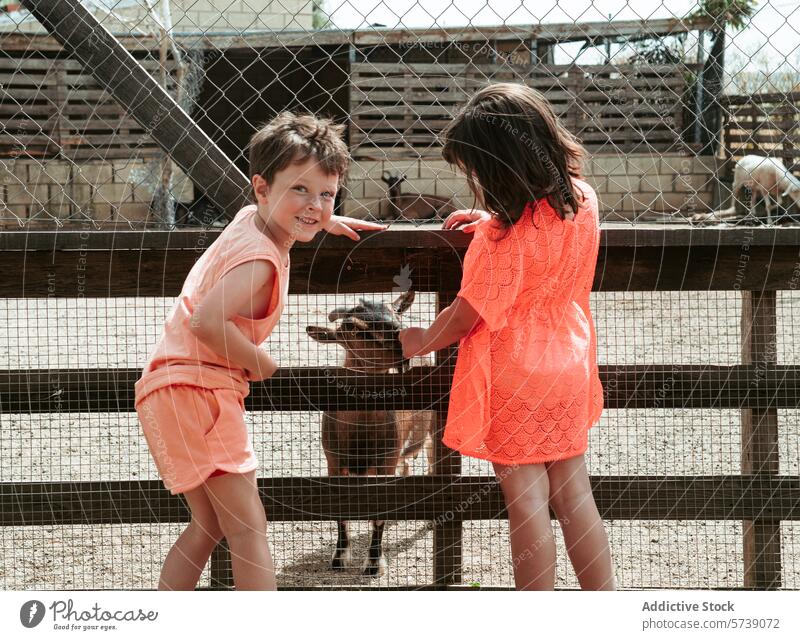 Zwei Kinder, ein Junge und ein Mädchen, sind an einem sonnigen Schultag auf einem Bauernhof spielerisch mit Ziegen an einem Holzzaun beschäftigt Interaktion