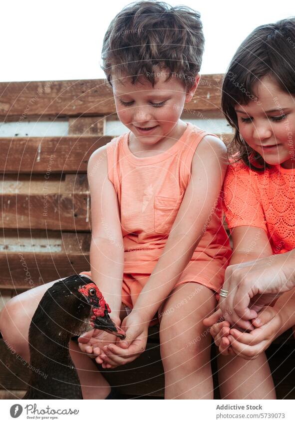 Zwei kleine Kinder beschäftigen sich während einer Sommeraktivität mit einer Ente und lernen dabei etwas über Bauernhoftiere füttern Tier im Freien Lernen