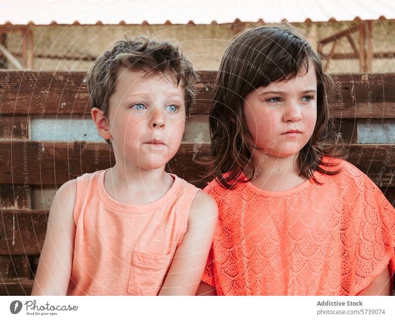 Ein Junge und ein Mädchen sitzen Seite an Seite an einem Holzzaun, in Gedanken versunken und nehmen den Anblick einer Bauernhofschule im Sommer in sich auf