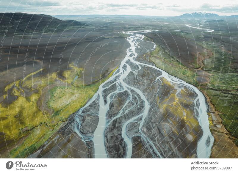 Luftaufnahme eines verzweigten Flusses in der zerklüfteten Landschaft Islands verzweigter Fluss vulkanisches Terrain pflanzlich Natur natürliches Muster