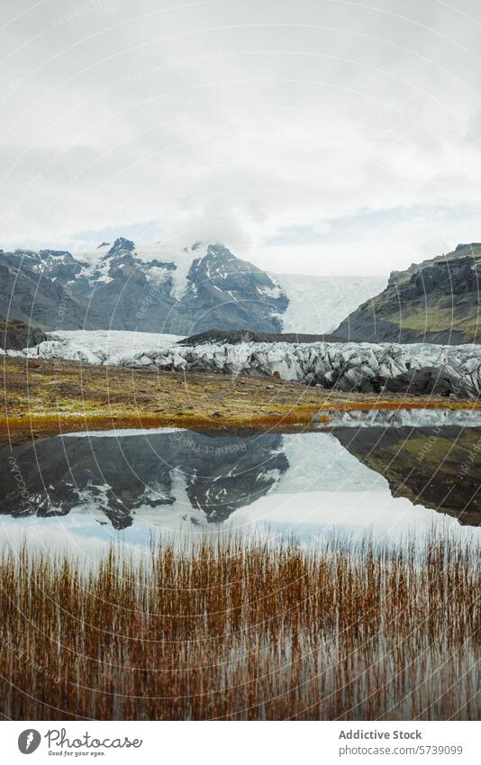 Gelassener isländischer Gletscher Reflexion in ruhigem Wasser Island Berge u. Gebirge Reflexion & Spiegelung Windstille Gelassenheit Landschaft Natur im Freien