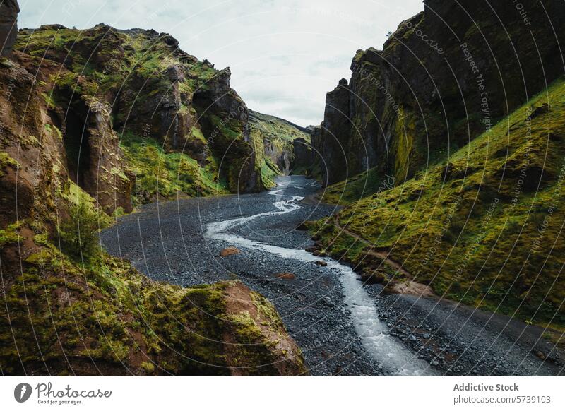 Ruhiger Fluss, der durch eine majestätische isländische Schlucht fließt Island Landschaft Natur Gelassenheit ruhig Moos grün robust vulkanisch im Freien