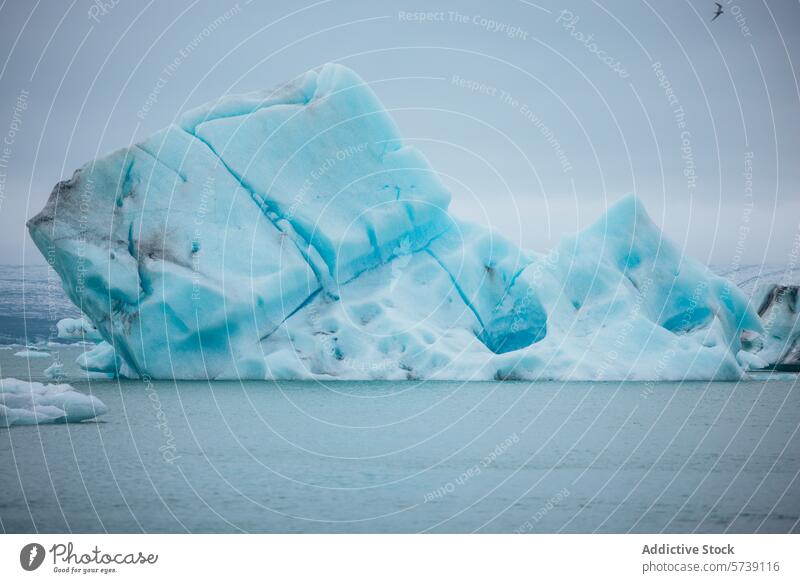 Majestätischer türkisfarbener Eisberg in den kalten Gewässern von Island Wasser Natur majestätisch glazial arktische fliegend gekühlt Textur Tonung aquatisch