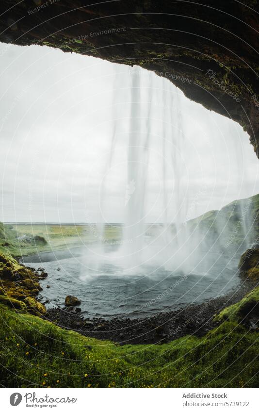 Majestätischer Blick von hinten auf einen Wasserfall in Island Landschaft Natur Kaskade Grün malerisch Ansicht fließen Gardine Nebel Klippe im Freien reisen