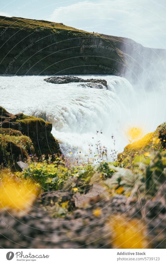 Majestätischer Wasserfall inmitten einer üppigen Vegetation in Island Flora überschwänglich Klippe Blauer Himmel Natur Landschaft im Freien Kaskade fließen