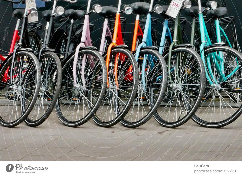 Heute ist Weltfahrradtag Fahrrad Fahrräder Bewegung Mobilität Fahrradfahren Verkehrsmittel umweltfreundlich sportlich gesund Fortbewegungsmitel nachhaltig Rad