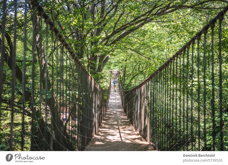 Hängebrücke im Wald Brücke waldgebiet wandern Tourismus Ferien & Urlaub & Reisen Landschaft Abenteuer Natur Höhenangst Reisefotografie Bäume Baum Grün Wanderung