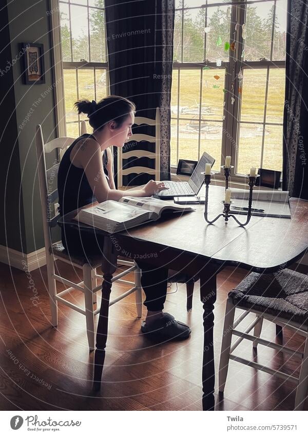 Junge Frau arbeitet an einem Laptop Heimarbeitsplatz zu Hause Notebook Technik & Technologie Hausaufgabe Fensterbeleuchtung Internet online