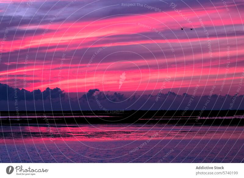 Dramatische purpurrote und magentafarbene Streifen färben den Himmel bei Sonnenuntergang im Ebro-Delta, wobei die Vögel im Flug die dynamische Szene unterstreichen