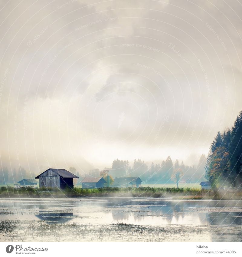 Haus am See spiegelt sich in nebliger Herbststimmung im Wasser. Seeufer spiegeln Nebel Umwelt Landschaft Herbstlandschaft Gegenlicht Urelemente Himmel Wolken