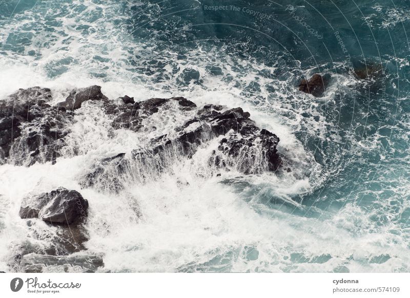 Brandung Umwelt Natur Wasser Felsen Wellen Küste Bucht Meer Bewegung Freiheit Kraft Leben Macht Unendlichkeit Vergänglichkeit Wandel & Veränderung Fuerteventura
