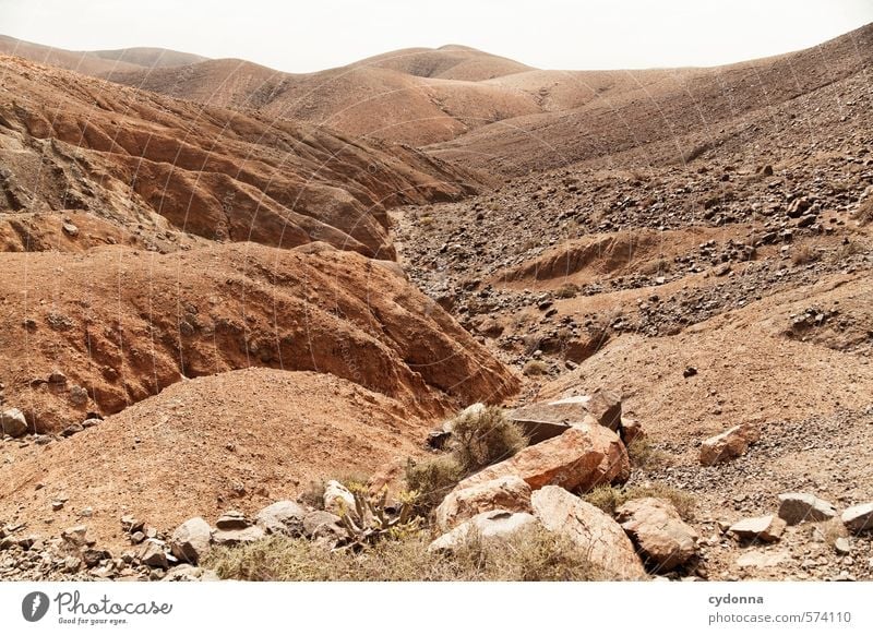 Fuerteventura Ferien & Urlaub & Reisen Abenteuer Ferne Freiheit Umwelt Natur Landschaft Erde Wärme Dürre Hügel Felsen Wüste Einsamkeit exotisch Klima ruhig Tod