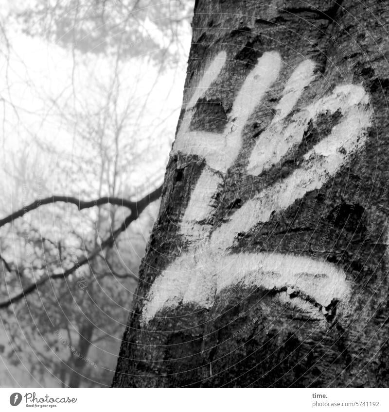Alles wird gut | Die Antwort Baum 42 Zahl Farbe Wald Baumstamm Ast Natur Umwelt Rinde aufgemalt Grafitti Baumrinde Strukturen & Formen Detailaufnahme Pflanze