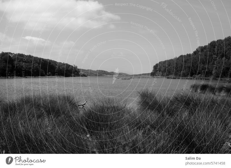 Lakeside Schwarzweißfoto schwarz auf weiß Schwarz-Weiß-Fotografie See Seeufer Seen Landschaft Querformat Landschaften Ausrichtung im Querformat