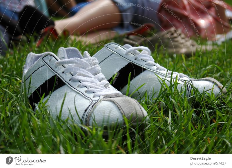 Schuhe im Gras Turnschuh Außenaufnahme Oldtimer Chucks Sommer Rasen Coolness Freude