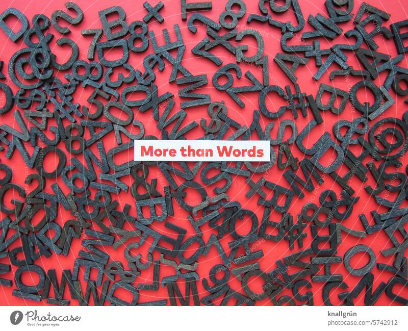 More than Words Wort Text Buchstaben Zwischen den Zeilen Schriftzeichen Menschenleer Kommunikation Typographie Mitteilung Sprache Kommunizieren