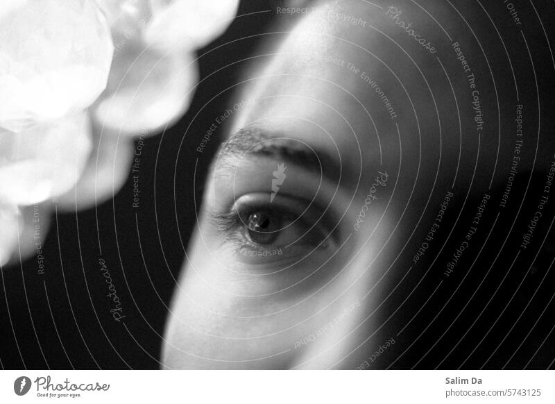 Augenfotografie Schwarzweißfoto schwarz auf weiß Schwarz-Weiß-Fotografie Blick auf Photo-Shooting Porträt Ästhetik Kunst künstlerisch photogen Nahaufnahme
