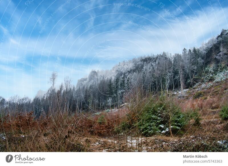 Blick auf den großen Zschirnstein mit schneebedeckten Bäumen und Sonnenaufgang im Nebel Felsen Winter Schnee Wald wandern Wurzel Sachsen Natur felsig Sandstein