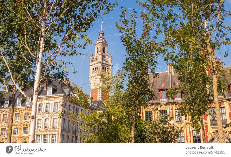 Grand Place in der Stadt Lille und sein Glockenturm Frankreich Hauts-de-France Architektur Glockenstube chambre Großstadt Gewerbe Ausflugsziel Europa Fassaden