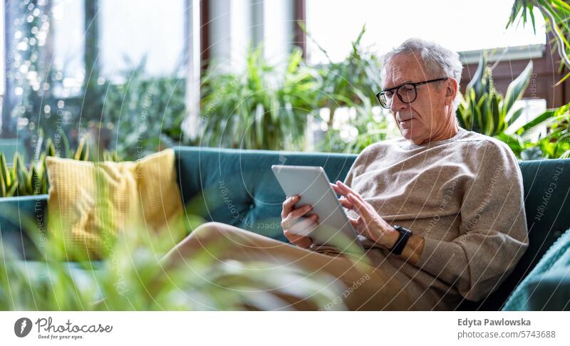 Ein älterer Mann benutzt ein digitales Tablet, während er zu Hause auf dem Sofa im Wohnzimmer sitzt Menschen Kaukasier graue Haare lässig Tag Porträt
